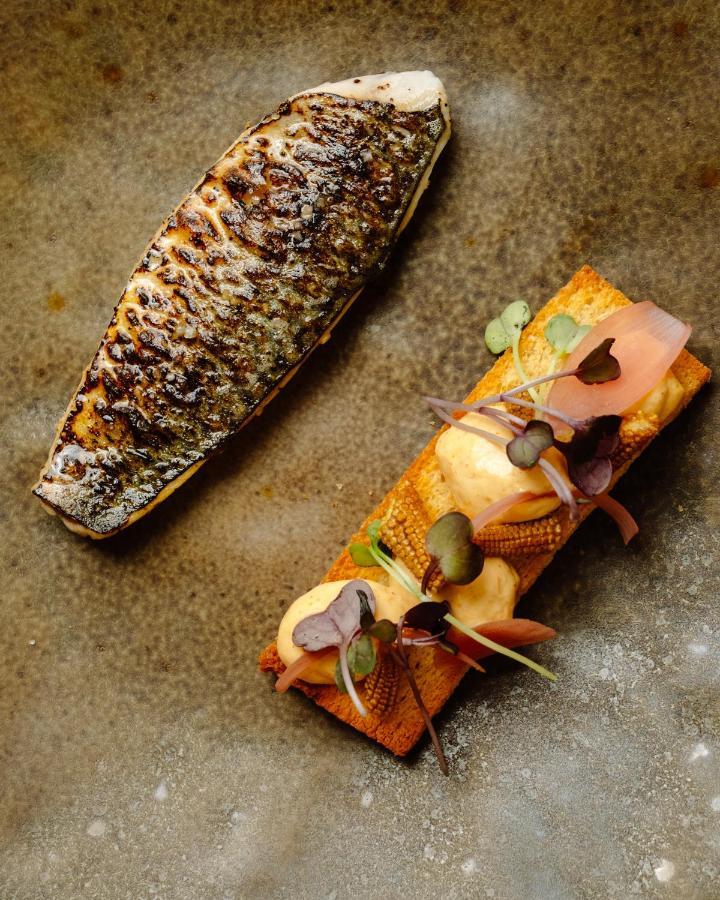 Hotel Maison Pavlov - Restaurant & - Bordeaux Bouscat Le Bouscat