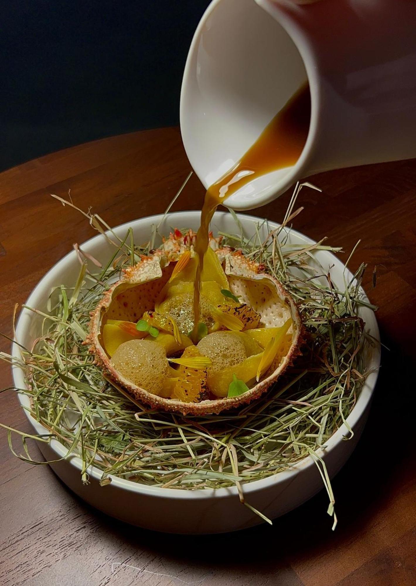 Maison Pavlov - Restaurant & - Bordeaux Bouscat Le Bouscat